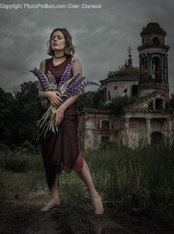 Flower, Flower Arrangement, Plant, Clothing, Dress