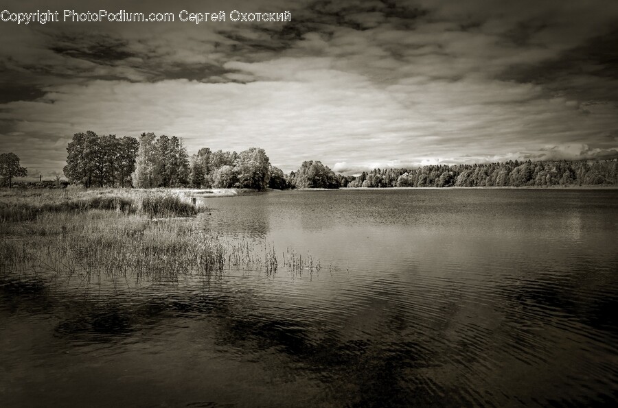 Nature, Outdoors, Land, Water, Pond