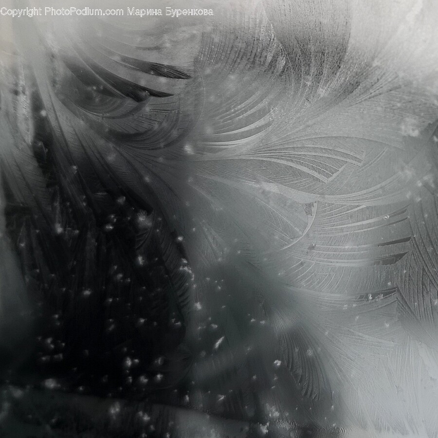 Nature, Outdoors, Weather, Ice, Frost