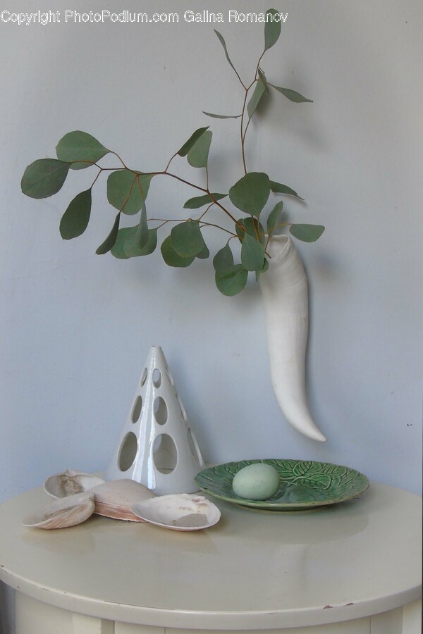 Clothing, Hat, Plant, Potted Plant, Egg