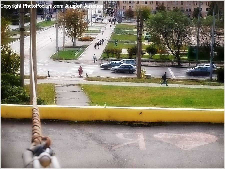 People, Person, Human, Plant, Potted Plant, Path, Sidewalk