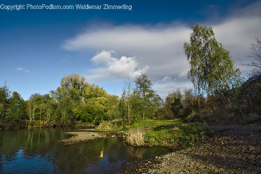 Nature, Outdoors, Pond, Water, Plant