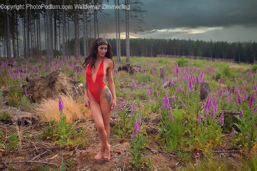 Plant, Vegetation, Clothing, Swimwear, Grove