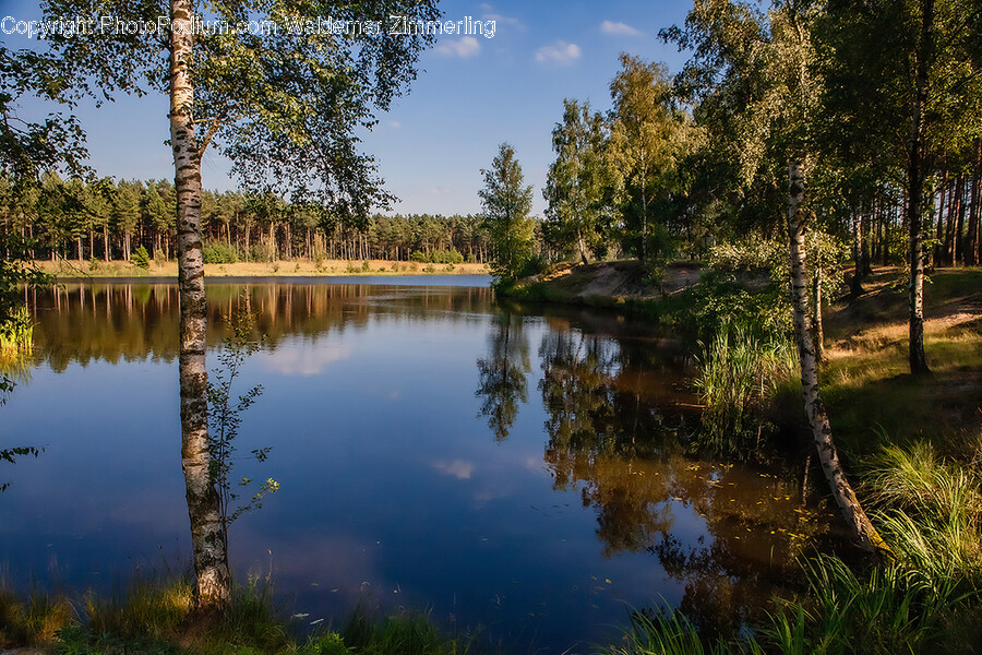 Nature, Outdoors, Pond, Water, Lake