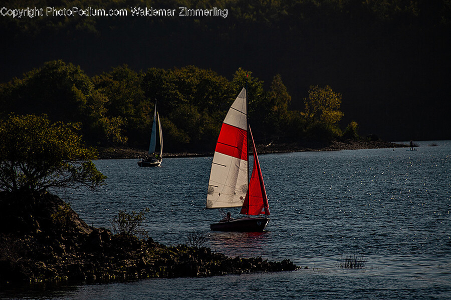 Boat, Sailboat, Transportation, Vehicle, Watercraft