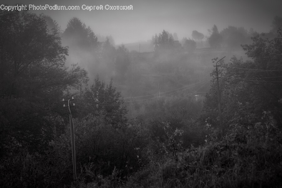 Nature, Outdoors, Weather, Fog, Mist