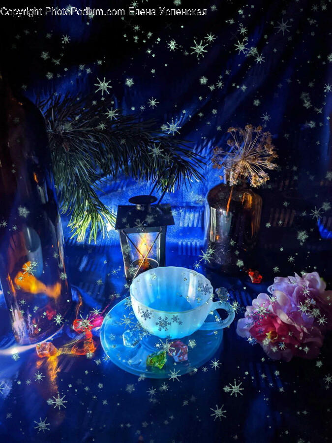 Lighting, Nature, Night, Outdoors, Cup