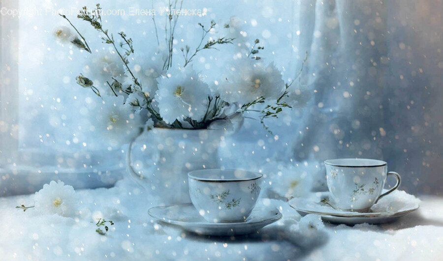 Cup, Saucer, Flower, Plant, Art