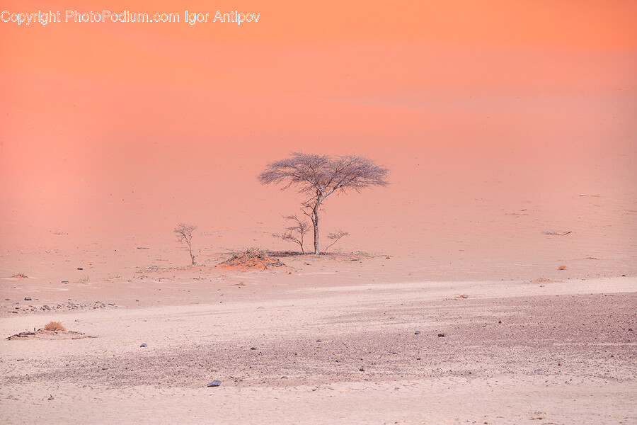 Ground, Nature, Outdoors, Weather, Desert