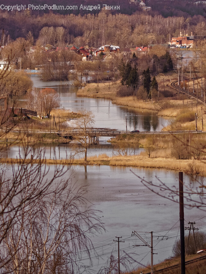 Land, Nature, Outdoors, Pond, Water