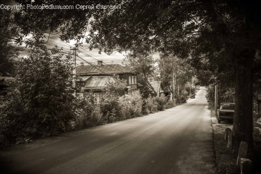 Road, Tarmac, City, Street, Urban