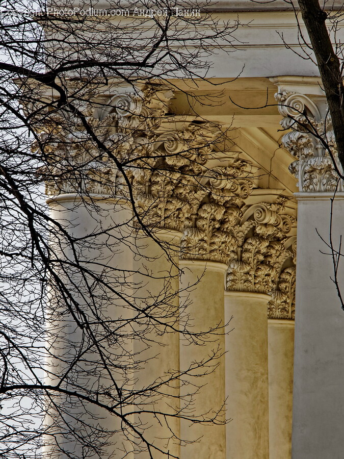 Architecture, Building, Arch, Pillar, Archaeology