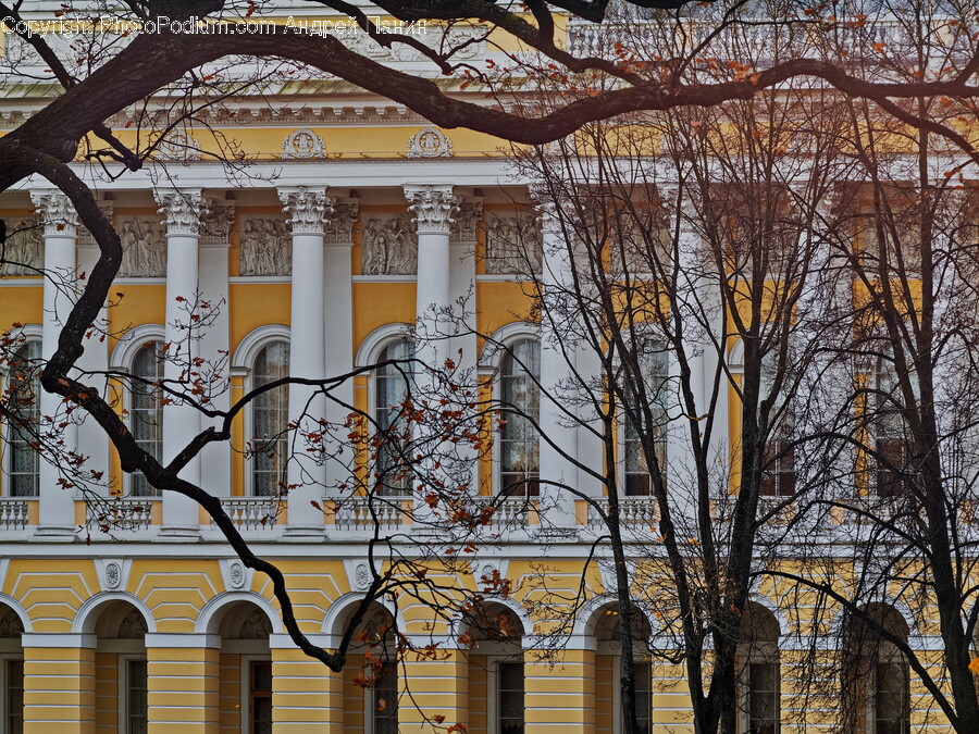 Architecture, Building, Office Building, Arch, Plant
