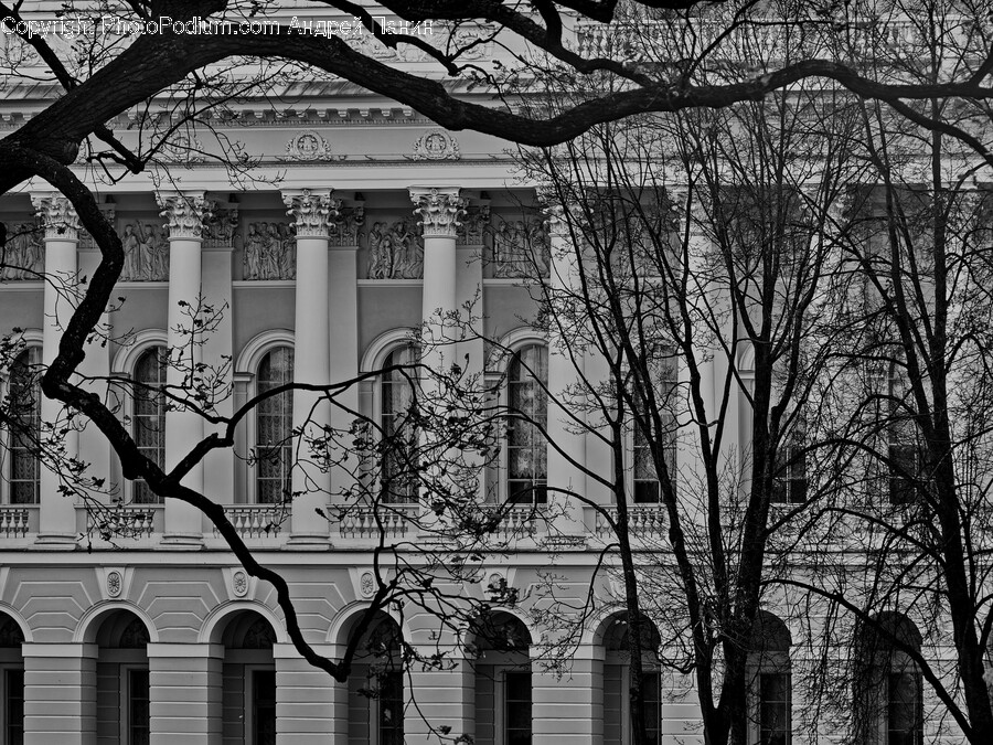 Architecture, Building, Office Building, Arch, Plant