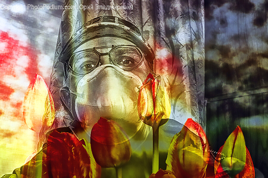 Flower, Plant, Person, Art, Petal