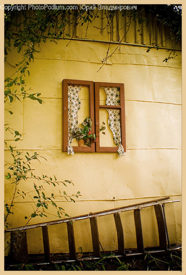 Architecture, Building, Wall, Window, Flower