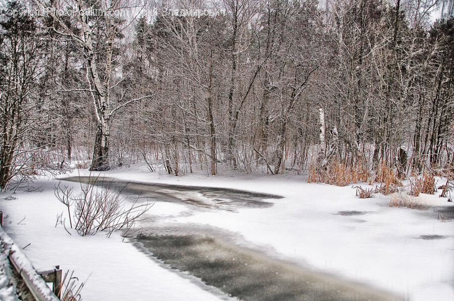 Nature, Outdoors, Winter, Blizzard, Snow