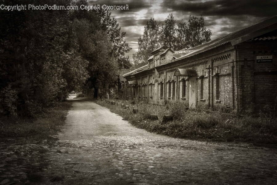 Path, Road, City, Street, Urban