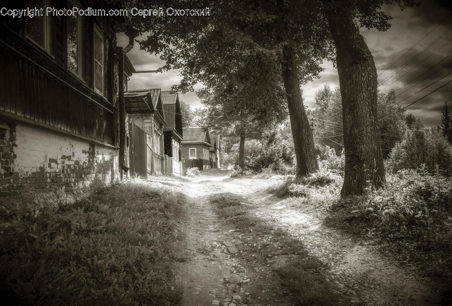 City, Road, Street, Urban, Path