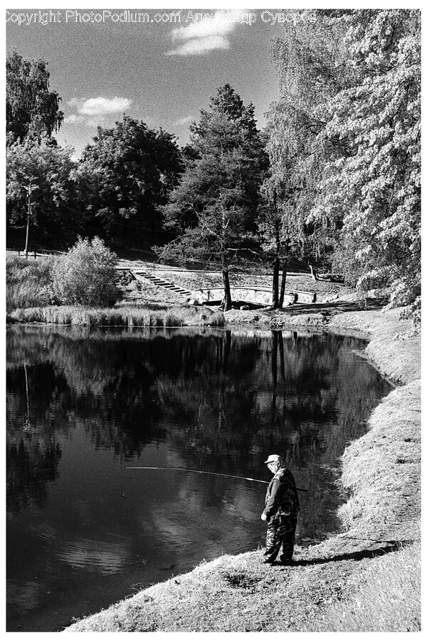 Nature, Outdoors, Pond, Water, Fishing