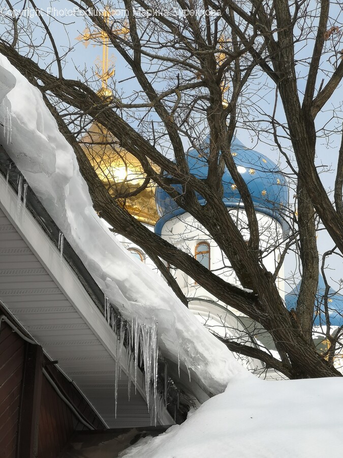 Ice, Nature, Outdoors, Winter, Snow