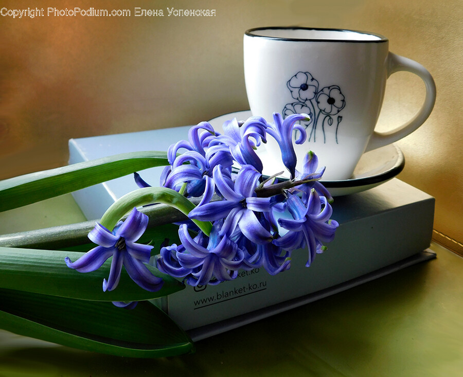 Flower, Plant, Flower Arrangement, Cup, Saucer