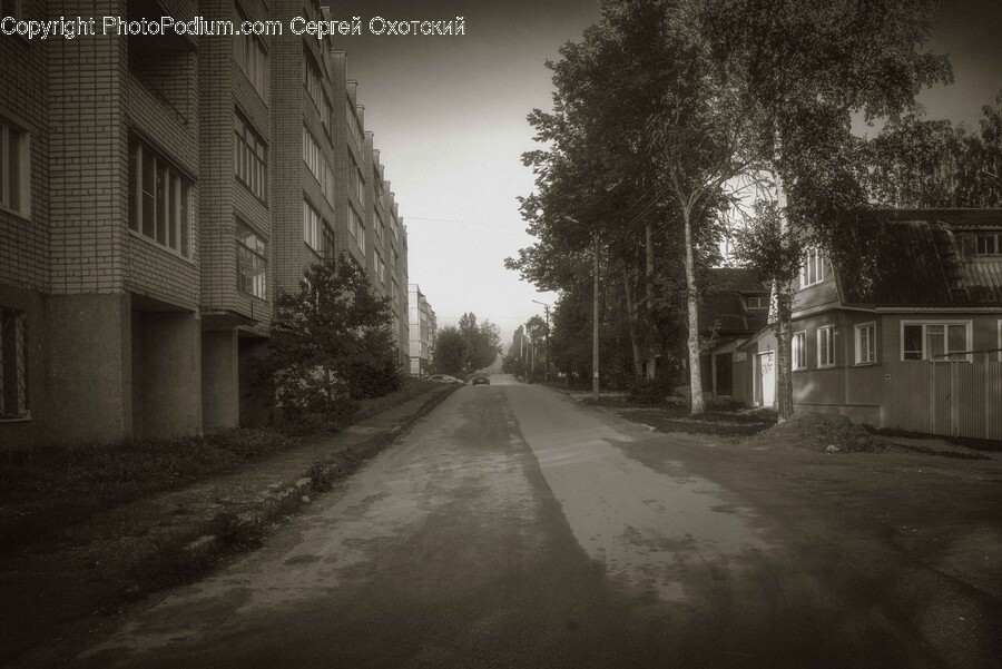 City, Road, Street, Urban, Tarmac