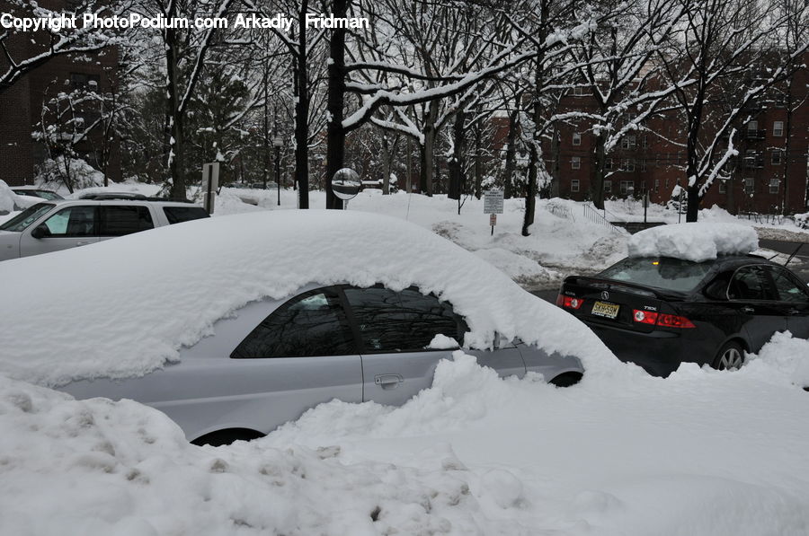 Ice, Outdoors, Snow, Automobile, Car, Vehicle, Plant