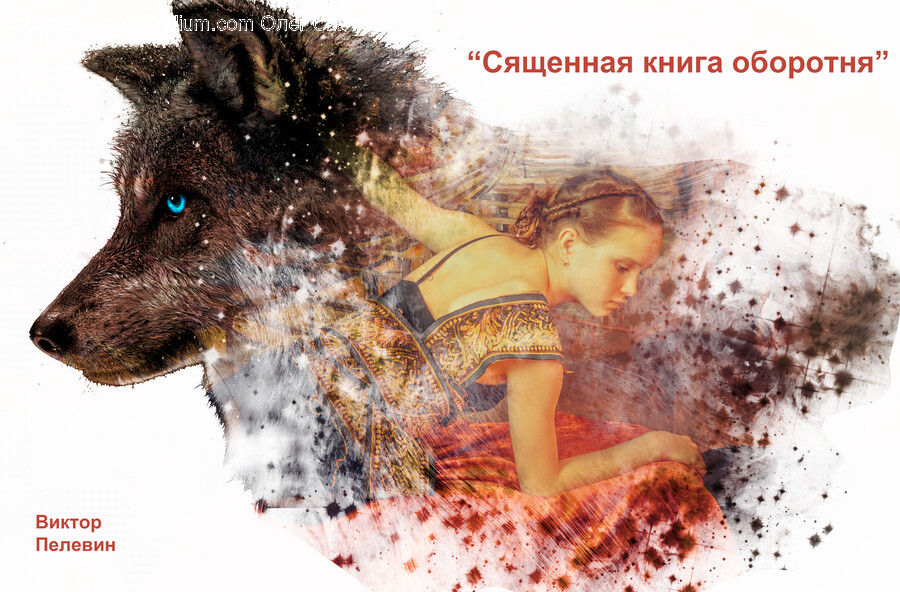 Person, Face, Head, Animal, Canine