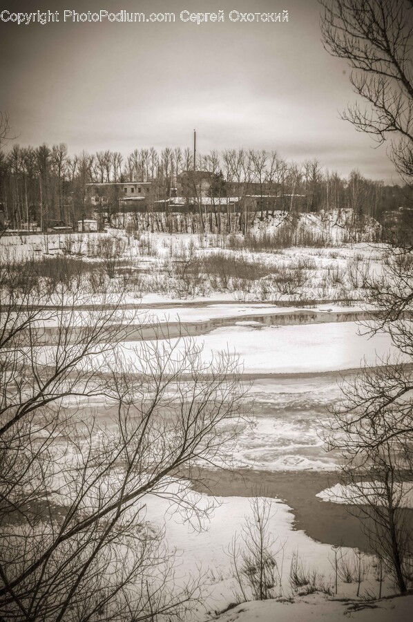 Land, Nature, Outdoors, Pond, Water