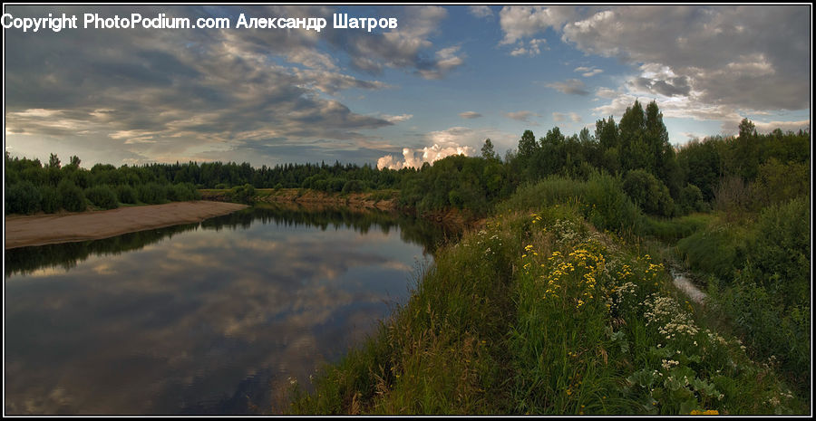 Landscape, Nature, Scenery, Land, Marsh, Pond, Swamp
