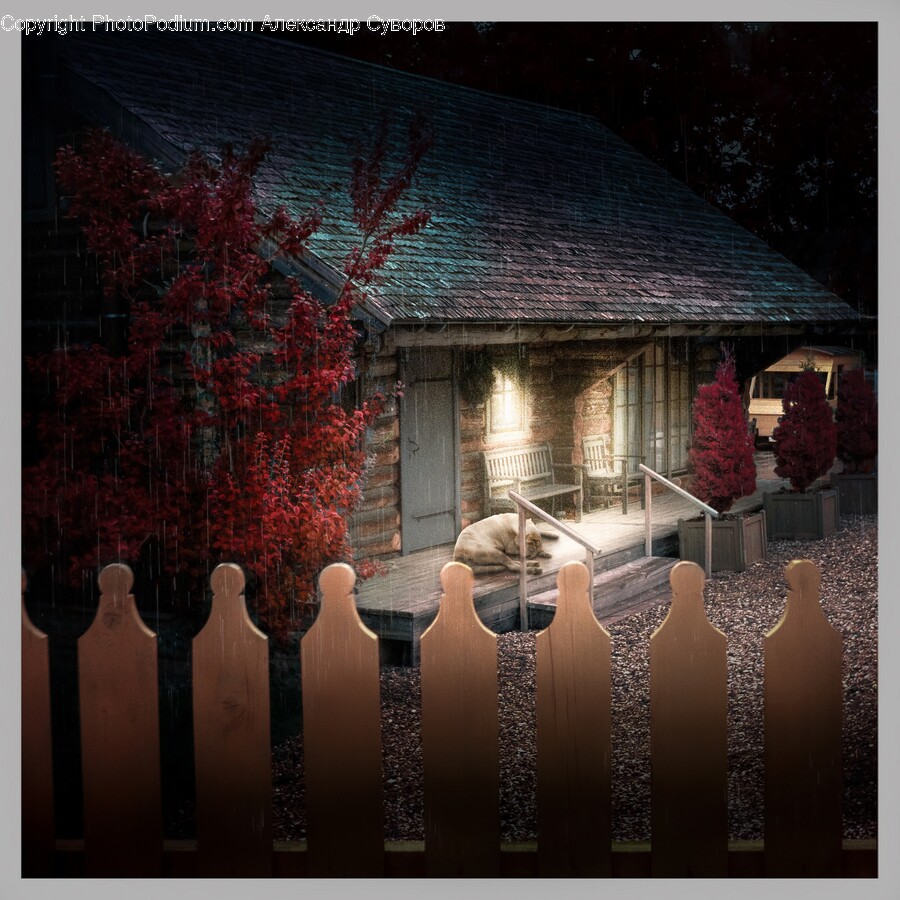 Fence, Picket, Chair, Furniture, Plant