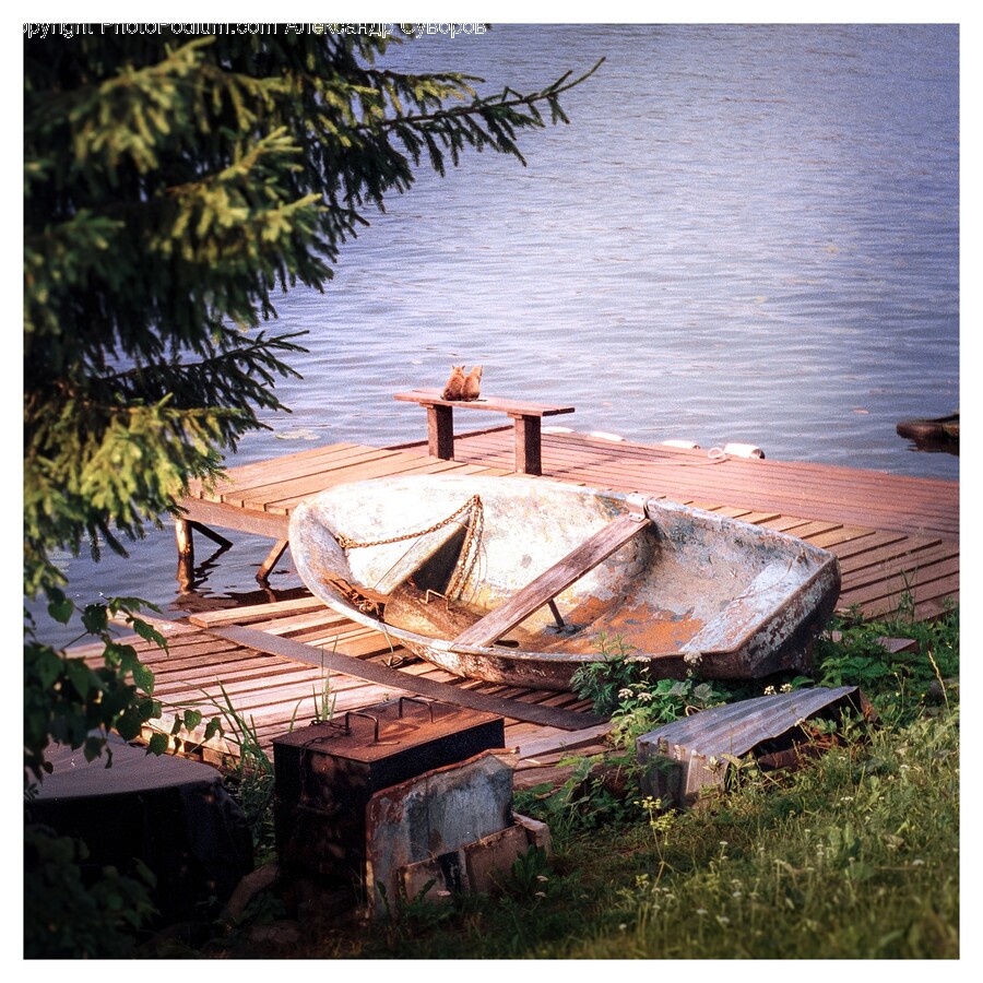 Water, Waterfront, Wood, Port, Transportation