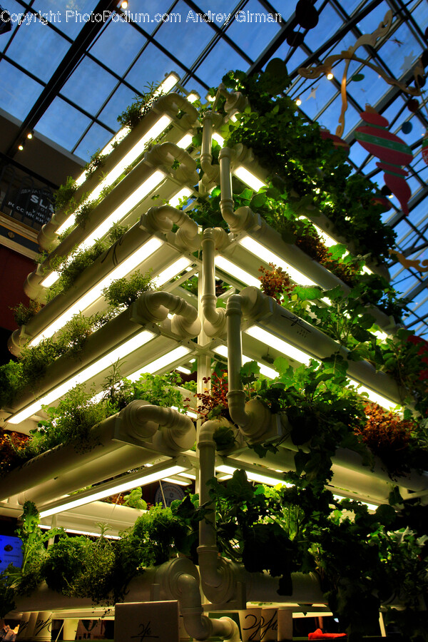 Garden, Nature, Outdoors, Architecture, Building