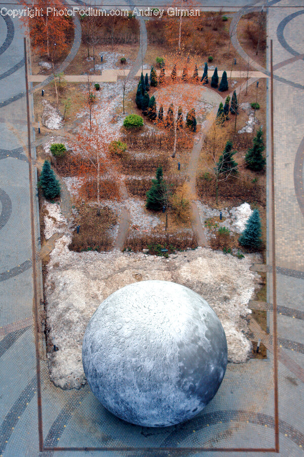 Fir, Plant, Tree, Sphere, Path