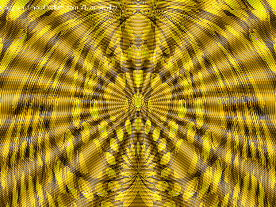 Pattern, Accessories, Fractal, Ornament, Plant