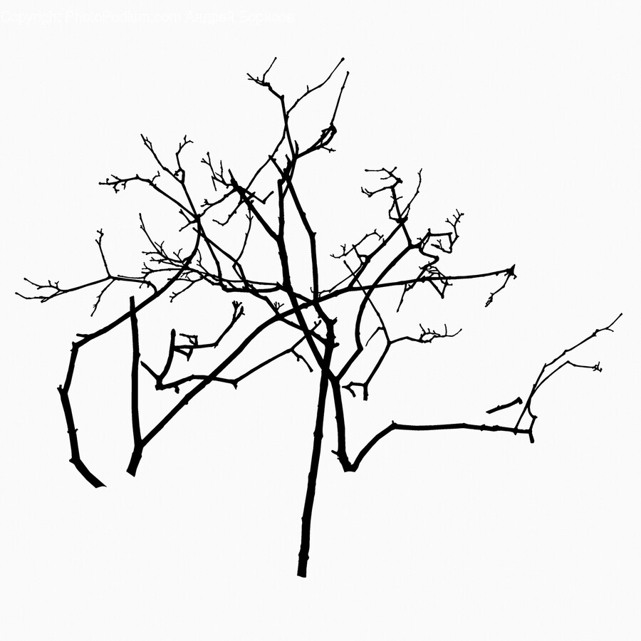 Art, Drawing, Silhouette, Person, Flower