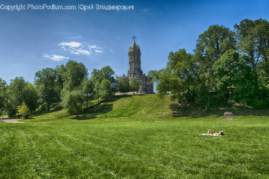 Field, Grassland, Nature, Outdoors, Grass