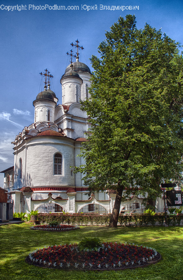 Grass, Plant, Architecture, Building, Spire