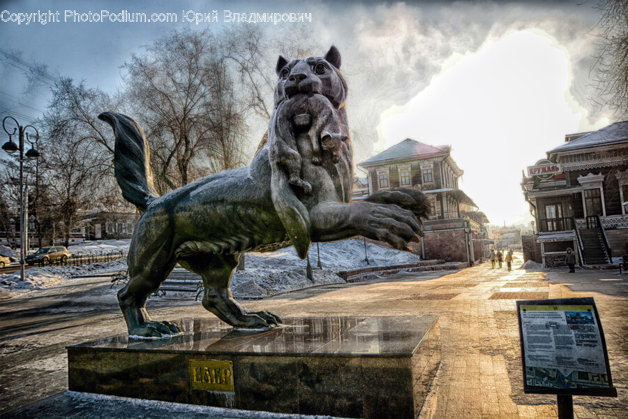 Animal, Lion, Mammal, Wildlife, Person