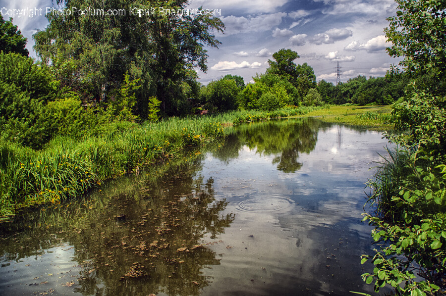Nature, Outdoors, Pond, Water, Land