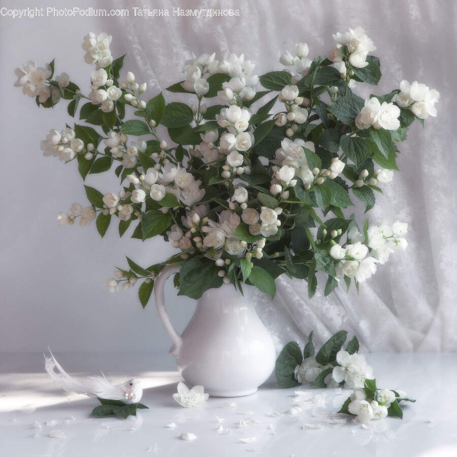 Flower, Flower Arrangement, Plant, Flower Bouquet, Pottery
