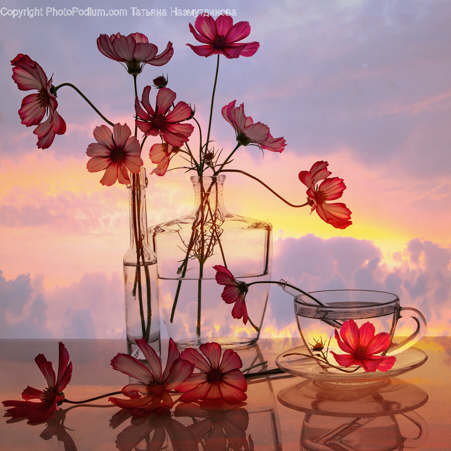 Flower, Flower Arrangement, Plant, Cup, Petal