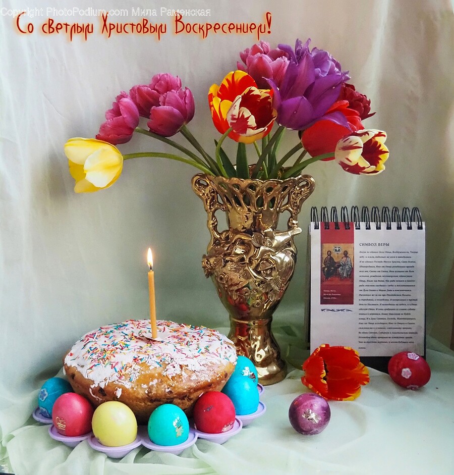 People, Person, Flower, Flower Arrangement, Plant