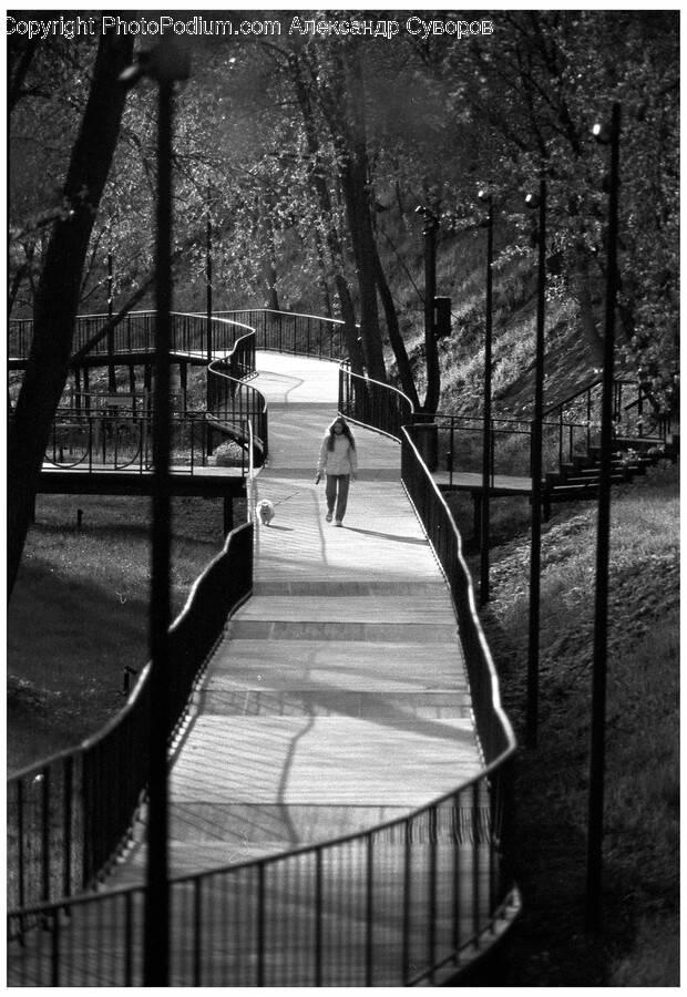 Handrail, Path, Railing, Sidewalk, Boardwalk