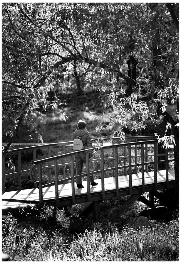 Boardwalk, Bridge, Adult, Male, Man