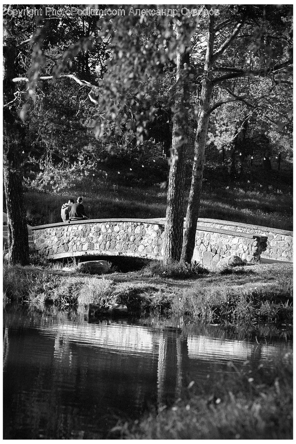 Nature, Outdoors, Pond, Water, Bench