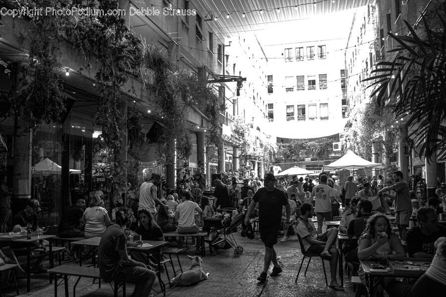 Indoors, Restaurant, Cafeteria, Cafe, Urban