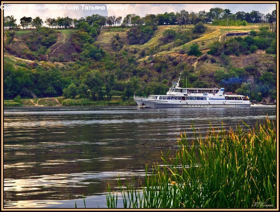Boat, Watercraft, Cruise Ship, Ferry, Freighter, Ship, Tanker