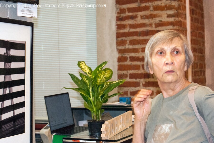 Plant, Potted Plant, Leaf, Body Part, Finger